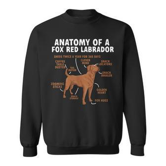 Anatomy Of A Fox Red Labrador Retriever Foxred Lab Sweatshirt - Monsterry