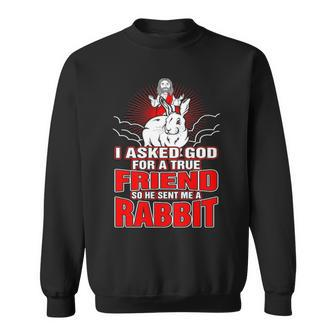 I Asked God For True Friend So He Sent Me A Rabbit Sweatshirt | Mazezy