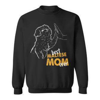 Best Maltese Mom Ever Maltese Dog Lover Maltese Mom Sweatshirt | Mazezy