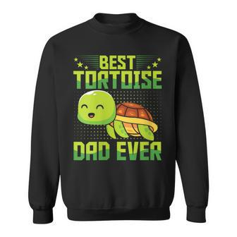 Best Tortoise Dad Ever Vintage Retro Papa Fathers Day Sweatshirt - Seseable