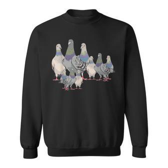 Bird Animal Motif Pigeon Sweatshirt - Seseable