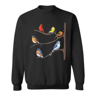Birds On A Branch Birding Bird-Watching Birder Bird Watcher Sweatshirt - Monsterry CA
