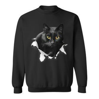 Black Cat Torn Cloth For Cat Lover Cat Dad Cat Mom Sweatshirt - Thegiftio UK