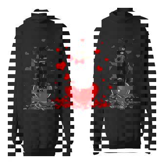 Black Cat Valentines Day Boys Girls Valentine Sweatshirt - Thegiftio