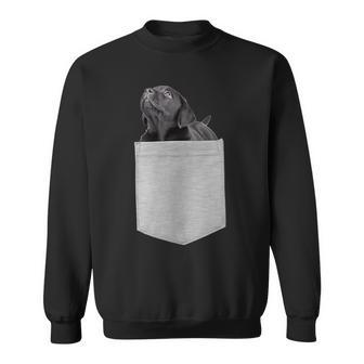 Black Lab Puppy In Your Pocket Sweatshirt - Monsterry DE
