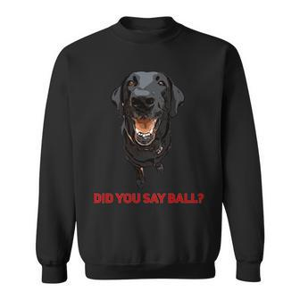 Black Lab Did You Say Ball Sweatshirt - Monsterry AU
