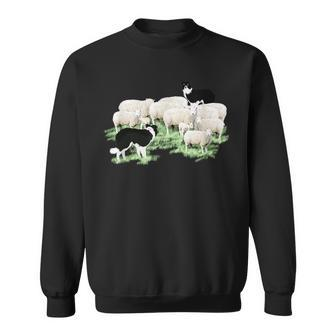 Border Collie Dogs Herding Sheep Sweatshirt - Monsterry DE