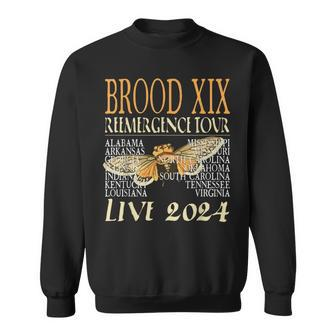 Brood Xix Reemergence Tour 2024 Periodical Cicada Concert Sweatshirt - Monsterry DE