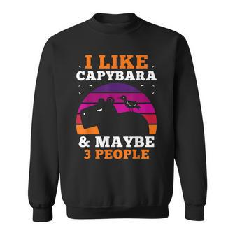 I Like Capybara & Maybe 3 People Capybaras Rodent Animal Sweatshirt - Thegiftio UK