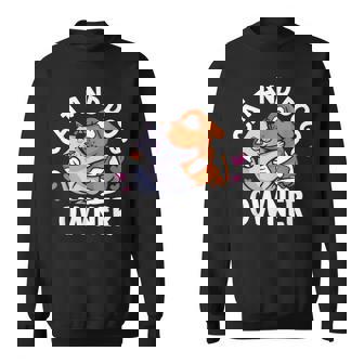 Cat And Dog Owner Cats Lover Dogs Sweatshirt - Thegiftio