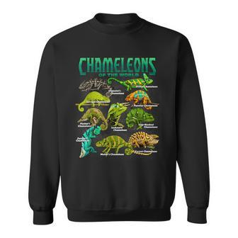 Chameleons Of The World Educational Reptile Lizard Lover Sweatshirt - Thegiftio UK