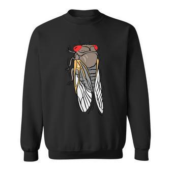 Cicada Brood X Insect Magicicada Great Eastern Brood X 2021 Sweatshirt - Monsterry