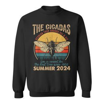 Cicada Brood Xiii Xix Summer 2024 Reunion Tour Vintage Sweatshirt - Monsterry