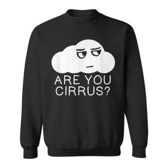 Are You Cirrus Clime Change Cloud Sweatshirt - Monsterry UK