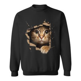 Cute Kitten Looks From Torn Fabric Cats Sweatshirt | Mazezy