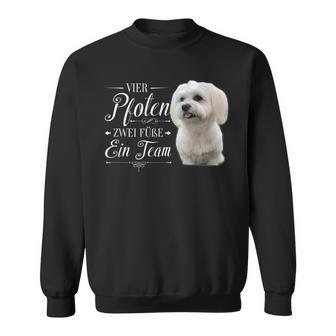 Cute Maltese Dog Graphic Sweatshirt - Geschenkecke