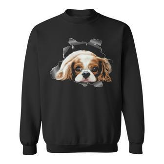 Cute Spaniel Torn Cloth Spaniel Lover Dog Owner Puppy Sweatshirt | Mazezy