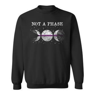 Demisexual Pride Flag Not A Phase Demisexual Sweatshirt - Monsterry CA