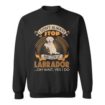 I Dont Always Look At Labrador Dog Wait Yes I Do Sweatshirt | Mazezy