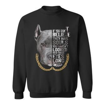 If You Don't Believe They Are Souls I Love Pitbull Dog Lover Sweatshirt | Mazezy DE