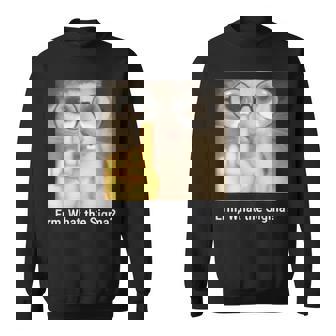 Erm What The Sigma Cat Meme Sweatshirt | Mazezy
