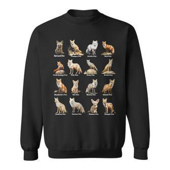 Foxes Of The World Fox Animals Educational Sweatshirt - Monsterry