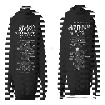 Anatomy Labrador Retriever Black Lab Dog Owner Sweatshirt - Thegiftio