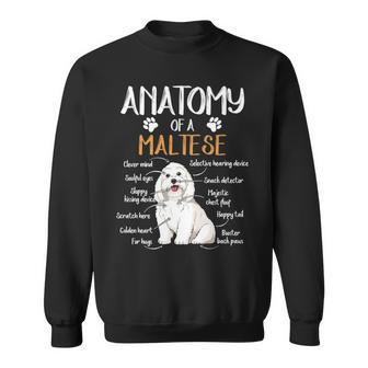 Anatomy Maltese Dog Lover Sweatshirt | Mazezy
