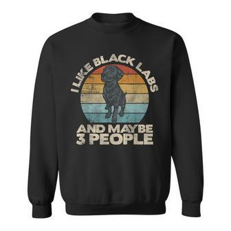 Black Lab Owner Dog Lover Labrador Black Lab Sweatshirt - Monsterry DE