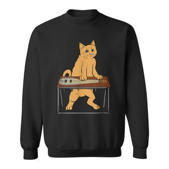 Cat Playing Pedal Sl Country Blues Sweatshirt - Monsterry DE