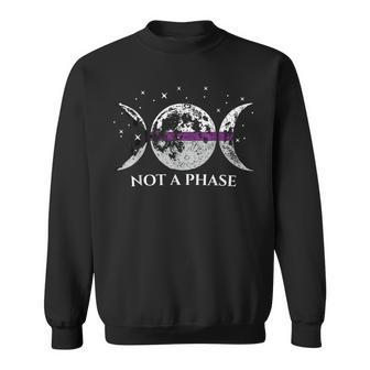 Demisexual Pride Flag Not A Phase Sweatshirt - Monsterry CA