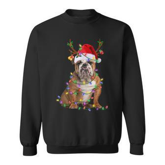 English Bulldog Dog Tree Christmas Lights Xmas Pajama Sweatshirt - Monsterry DE