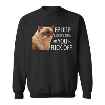Feline Like It's Time For You To Fuck Off Cat Pun Sweatshirt - Monsterry CA