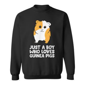 Guinea Pig Just A Boy Who Loves Guinea Pigs Sweatshirt - Monsterry DE