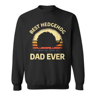 Hedgehogs Pet Animal Quote For A Hedgehog Lover Dad Sweatshirt - Monsterry DE