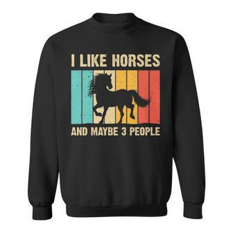 Horse Art Horse Lover Men Women Boys Girls Introvert Sweatshirt | Mazezy