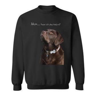 Labrador Retriever Dog Sweatshirt - Geschenkecke