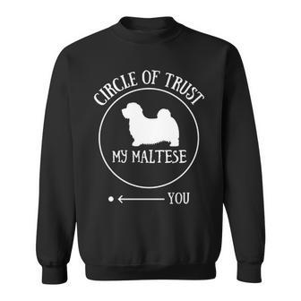 Maltese Cute Sweatshirt | Mazezy