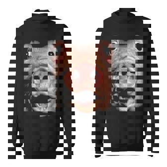 Pig Face Meme Big Troll Hog Piggy Face Sweatshirt | Mazezy