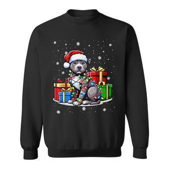 Pitbull Merry Christmas Tree Lights Pitbull Lover Xmas Sweatshirt | Mazezy