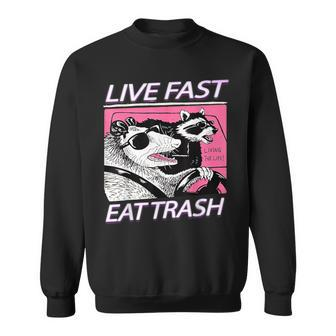 Racoon Live-Fast Eat Trash Retro Vintage Trash-Pandas Sweatshirt - Thegiftio UK