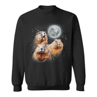Three Groundhog Moon 3 Groundhog Head Groundhog Day Sweatshirt | Mazezy UK