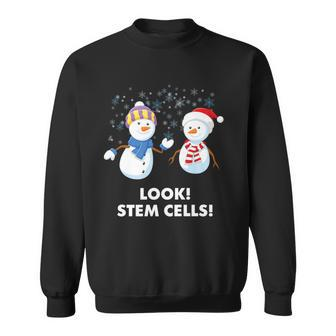 Winter Snowman Science Joke Stem Cells Snowflakes Sweatshirt - Monsterry