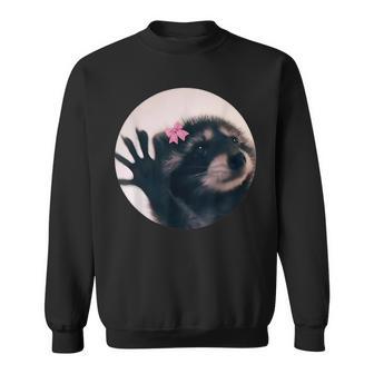 iral Pedro Tanzender Waschbär Meme Pedro Sweatshirt - Seseable