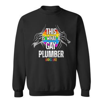 This Is What A Gay Plumber Looks Like Lgbt Pride Sweatshirt - Monsterry CA