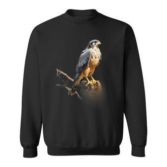 Peregrine Falcon Realistic Nature Volatile Trees Sweatshirt - Thegiftio UK