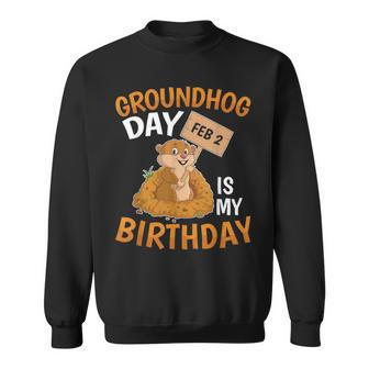 Groundhog Day February 2Nd 2 Is My Birthday Sweatshirt - Monsterry
