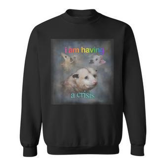 I Am Having A Crisis Possum Sweatshirt | Mazezy
