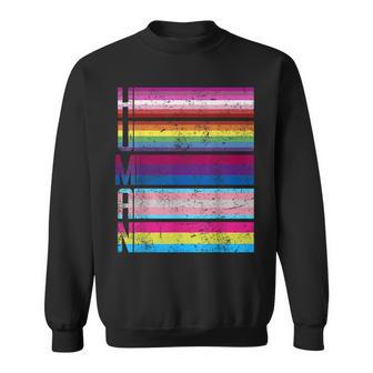 Human Gay Lesbian Bisexual Transgender Pansexual Lgbt Flag Sweatshirt - Monsterry CA