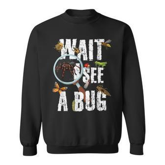 Insects Of The World Bug Lover Expert Entomologist Bugs Fan Sweatshirt - Monsterry DE